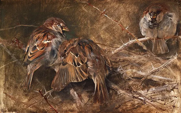 Sparrows among the Thorns 1886 By Bruno Liljefors