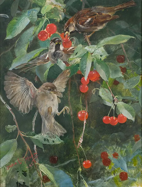 Sparrows in a Cherry Tree By Bruno Liljefors