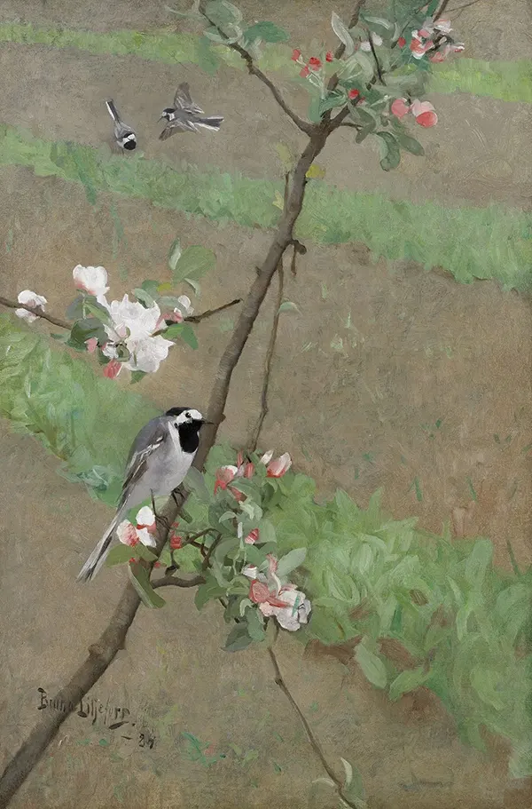 White Wagtails 1884 By Bruno Liljefors