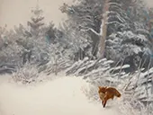 Winter Landscape with Fox 1928 By Bruno Liljefors