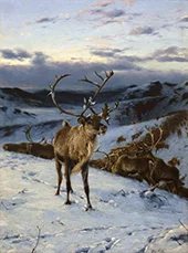 Caribou in Winter By Richard Friese