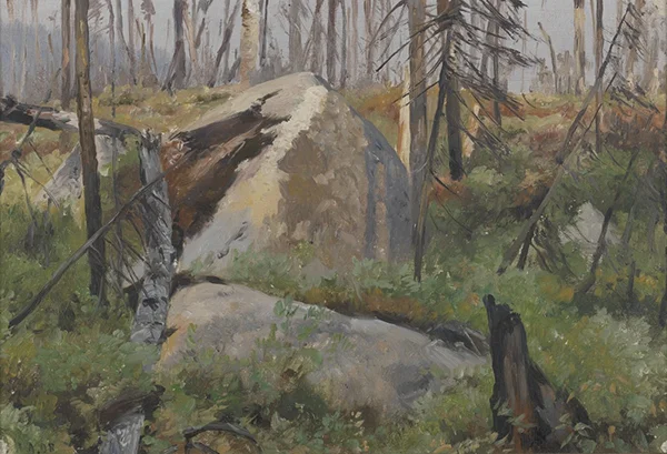 Dead Forest in Canada 1908 By Richard Friese