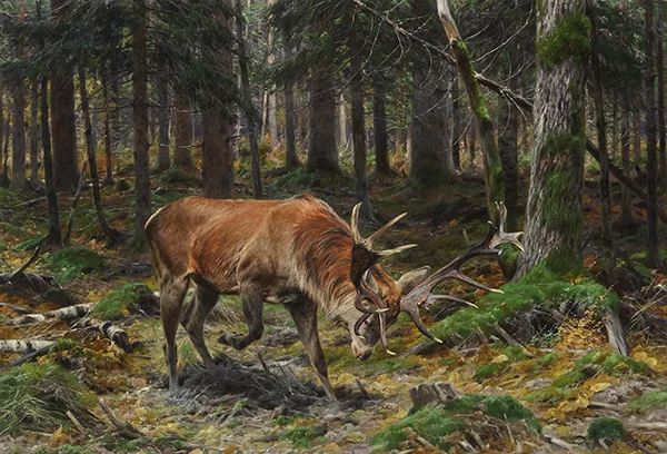Deer in a Forest Glade 1912 By Richard Friese