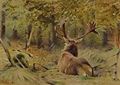 Lying Moose in Forest By Richard Friese