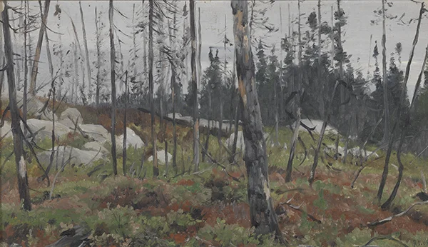 Mixed Forest in Canada 1908 By Richard Friese