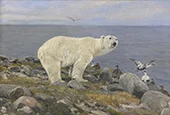 Polar Bear and Eider Ducks on the Coast By Richard Friese