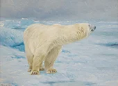 Polar Bear By Richard Friese
