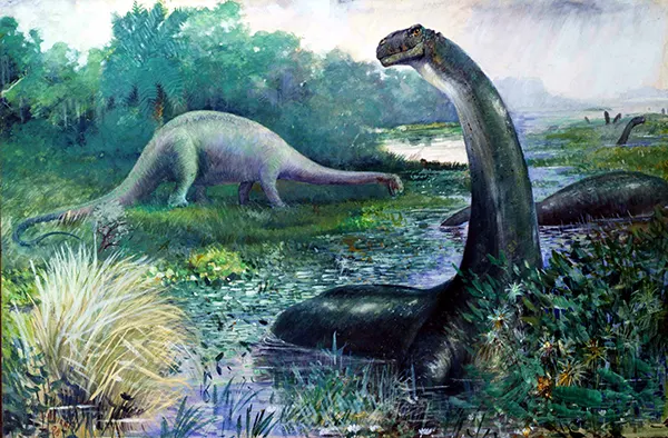 Brontosaurus 1897 By Charles R Knight