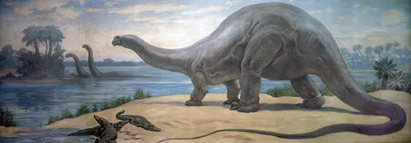 Brontosaurus from the Jurassic 1930 By Charles R Knight