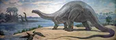 Brontosaurus from the Jurassic 1930 By Charles R Knight