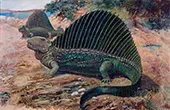 Dimetrodon By Charles R Knight