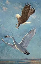 Eagle and Swan By Charles R Knight