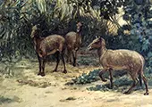 Eohippus By Charles R Knight