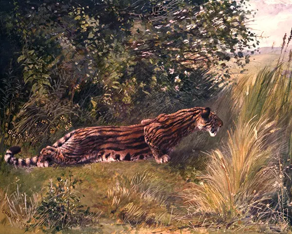 Hoplophoneus By Charles R Knight