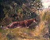 Hoplophoneus By Charles R Knight