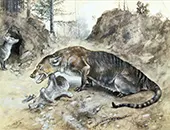 Mesonyx By Charles R Knight