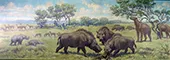 Oxydactylus Menoceras Parahippus Dinohyus and Moropus from the Miocene By Charles R Knight