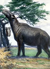 Paraceratherium By Charles R Knight