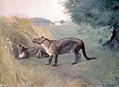 Phenacodus By Charles R Knight