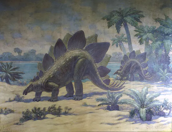 Stegosaurus 1927 By Charles R Knight