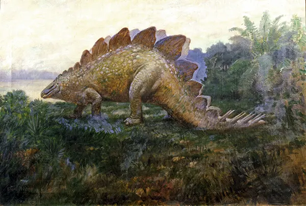 Stegosaurus By Charles R Knight