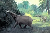 Trilophodon or Mastodon Angustidens By Charles R Knight