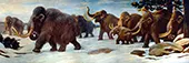 Woolly Mammoths By Charles R Knight