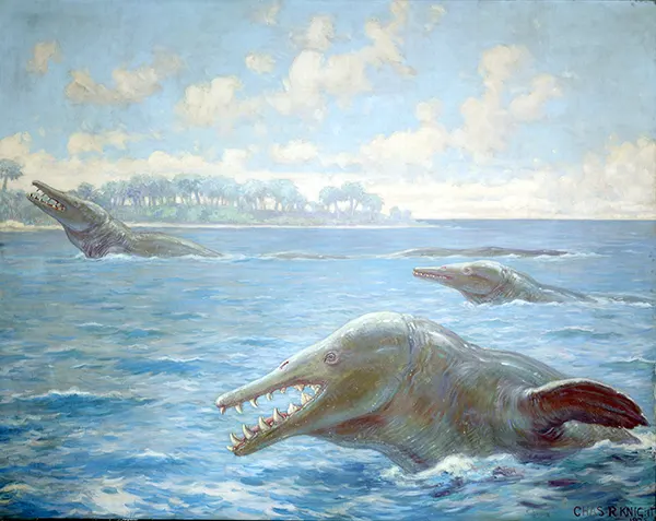 Zeuglodon By Charles R Knight