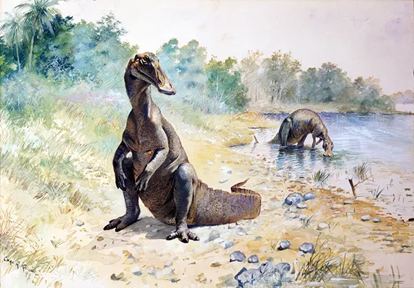 Trachodon By Charles R Knight