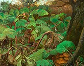 Garden with Rhubarbs at Herlufsholm By Hans Andersen Brendekilde