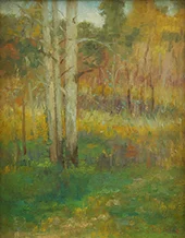 Bush Scene By Jane Price