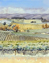 Mclaren Vale Vineyards By Jane Price