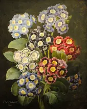 A Bouquet Of Auriculas By Pierre-Joseph Redoute