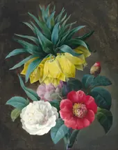 Four Peonies and a Crown Imperial By Pierre-Joseph Redoute