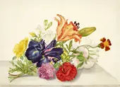 Still Life With Flowers Tied at the Stems By Maria Sibylla Merian