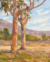 Eucalyptus in Summer By Anna Althea Hills