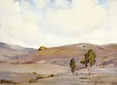 Laguna Hills at El Toro Road By Anna Althea Hills