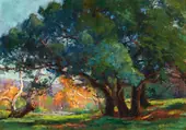 Oaks Irvine Park By Anna Althea Hills