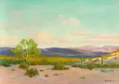 The Pale Verde Tree 1915 By Anna Althea Hills