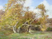 Trees and Wildflowers in Laguna Canyon By Anna Althea Hills
