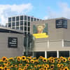 Art Collection - Van Gogh Museum, Amsterdam