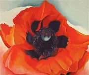 Poppy 1927 By Georgia O'Keeffe