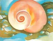 Pink Shell with Seaweed c1937 By Georgia O'Keeffe