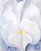 White Pansy 1927 By Georgia O'Keeffe