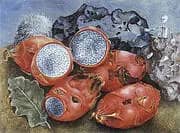 Pitahayas 1938 By Frida Kahlo