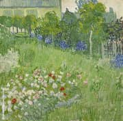 Daubigny's Garden 1890 By Vincent van Gogh