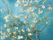 Almond Blossoms 1890 By Vincent van Gogh