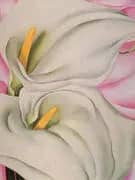 Two Calla Lillies On Pink By Georgia O'Keeffe