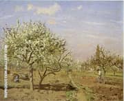 Orchard in Bloom Louveciennes By Camille Pissarro