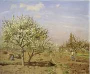 Orchard in Bloom Louveciennes By Camille Pissarro